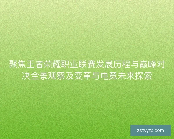 聚焦王者荣耀职业联赛发展历程与巅峰对决全景观察及变革与电竞未来探索