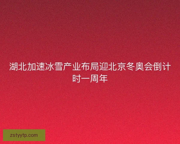 湖北加速冰雪产业布局迎北京冬奥会倒计时一周年